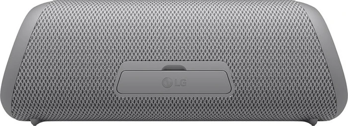 LG XBoom Go DXGQ7 grau