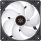SilverStone Shark Force 140 ARGB, schwarz, 140mm Vorschaubild