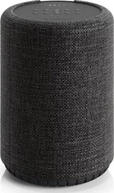 Audio Pro G10 dunkelgrau