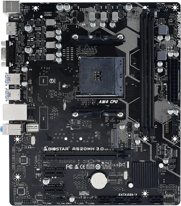 Biostar A520