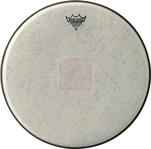 Remo Diplomat Skyntone 8"