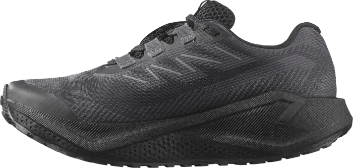 Salomon Aero Glide 3 GRVL GTX black/asphalt (Damen)