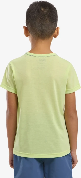 Jack Wolfskin Hiking Graphic Funktionsshirt kurzarm cool matcha (Junior)