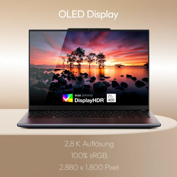 Medion Signium 14 S1, Core 5 120U, 16GB RAM, 512GB SSD, DE