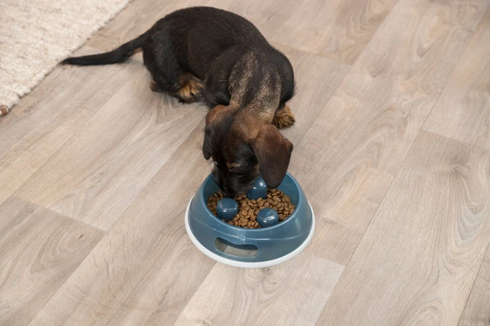 Trixie Slow Feeding Kunststoffnapf, stapelbar, Ø27cm, verschiedene Farben