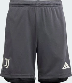 adidas Juventus Turin 2023/2024 Ausweichshorts carbon (Junior)