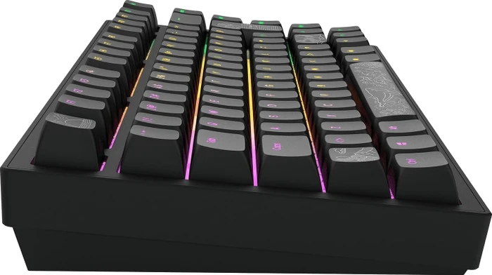 Dark Project ALU81A Terra Nostra Gaming Keyboard, schwarz, LEDs RGB, g3ms Moonstone, USB, DE