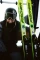 Fischer RC4 Noize LT Pro + RC4 Z13 GW Freeflex (inkl. Bindung) (Modell 2025/2026) Vorschaubild