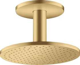 Hansgrohe Axor ShowerSolutions Kopfbrause 250 2jet mit Deckenanschluss brushed goldoptik