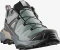 Salomon X Ultra 360 GTX sedona sage/urban chic/etherea (Damen) Vorschaubild