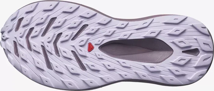 Salomon Glide Max TR nightshade/moonscape/orchid bloom (Damen)
