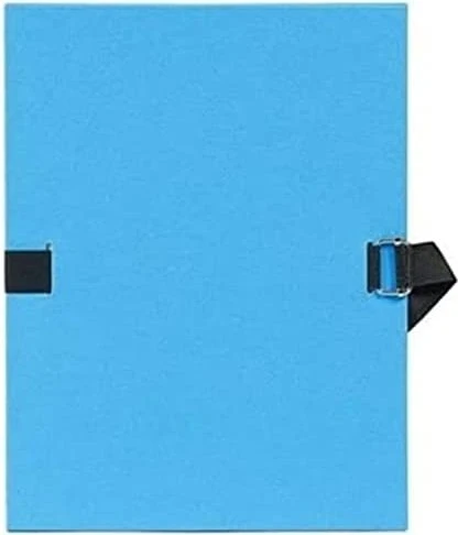 Exacompta Dokumenten Ordnungsmappe aus 2.7mm Karton mit dehnbarem Rücken, A4, hellblau