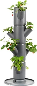 Gusta Garden Sissi Strawberry Starter Erdbeerbaum Rankhilfe anthrazit