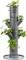 Gusta Garden Sissi Strawberry Erdbeerbaum Rankhilfe Vorschaubild