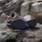 adidas Terrex Swift R2 GTX olive strata/aurora black/amber tint (Damen) Vorschaubild