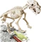 Clementoni Galileo Ausgrabungsset Smilodon fluoreszierend Vorschaubild