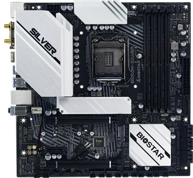 Biostar B560M-Silver (Intel 1200)