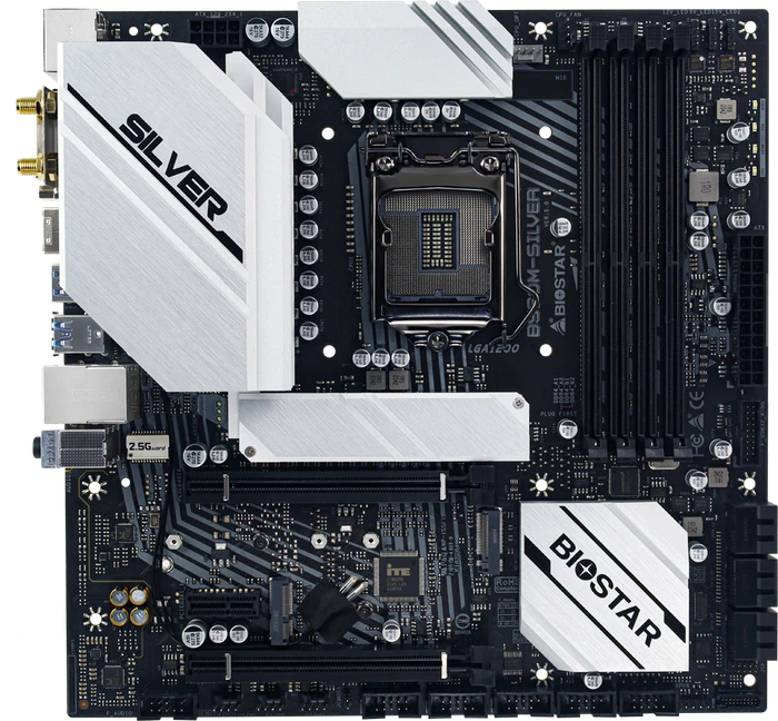 Biostar B560