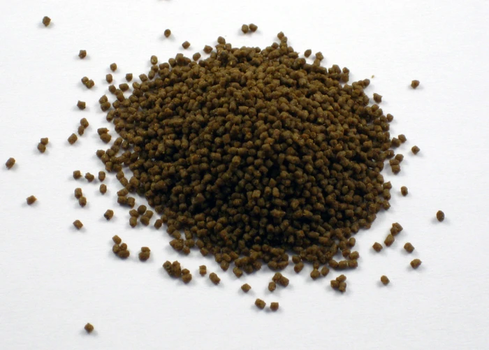 Aquarium Münster Dr. Bassleer Biofish-Food Acai L, 60g