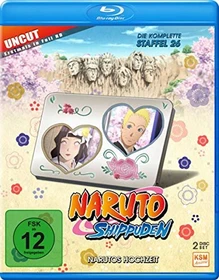 Naruto Shippuden Season 26 (Episode 714-720) (Blu-ray)