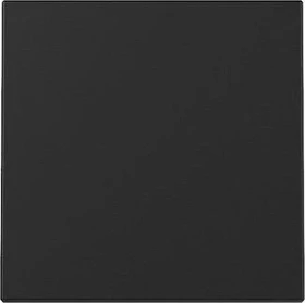 Gira System 55 Wippe, schwarz matt