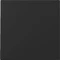 Gira System 55 Wippe 3296 Vorschaubild