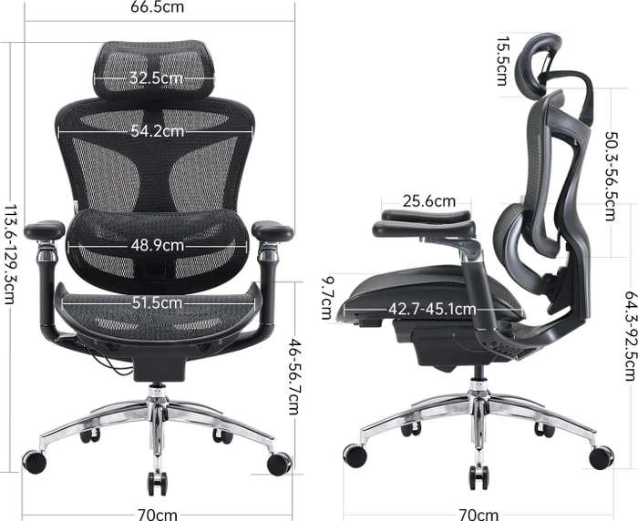 Sihoo Doro C300 Pro Ergonomischer Bürostuhl, schwarz
