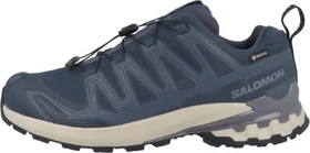 Salomon XA Pro 3D V9 GTX Equipe spellbound/grisaille/maritime blue (Herren)