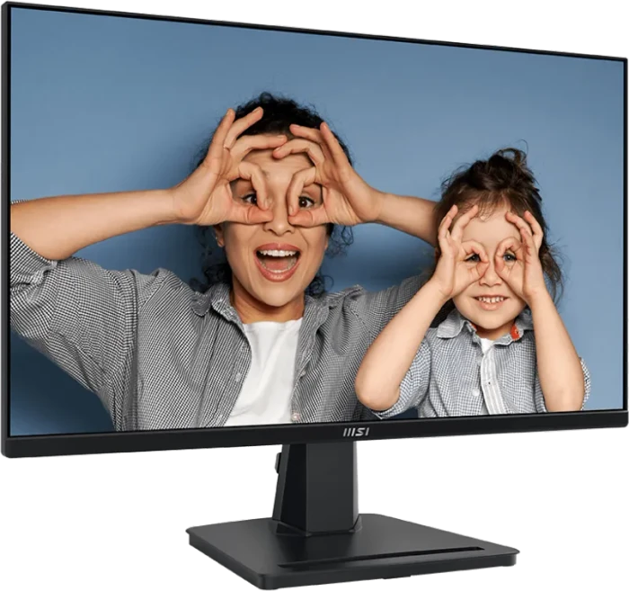 MSI PRO MP251DE, 24.5"