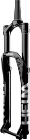 Cane Creek Helm MKII Air 15mm TA 44mm Offset 29" 160mm Federgabel