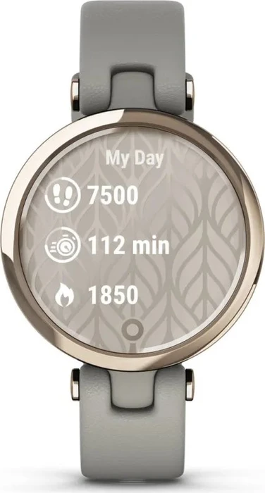 Garmin Lily