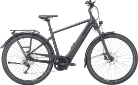 Pegasus Premio Evo 10 Lite 500Wh black matt Modell 2023 (Herren)