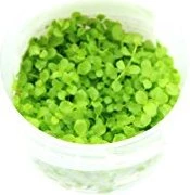 Tropica Wasserpflanze In-Vitro 1-2-Grow! Micranthemum Monte Carlo