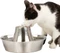PetSafe Seaside Edelstahl-Trinkbrunnen, 1.8l Vorschaubild