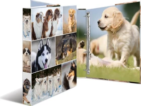 Herma 4D Ringbuch 4-Ring, 30mm, A4, Motiv Hunde