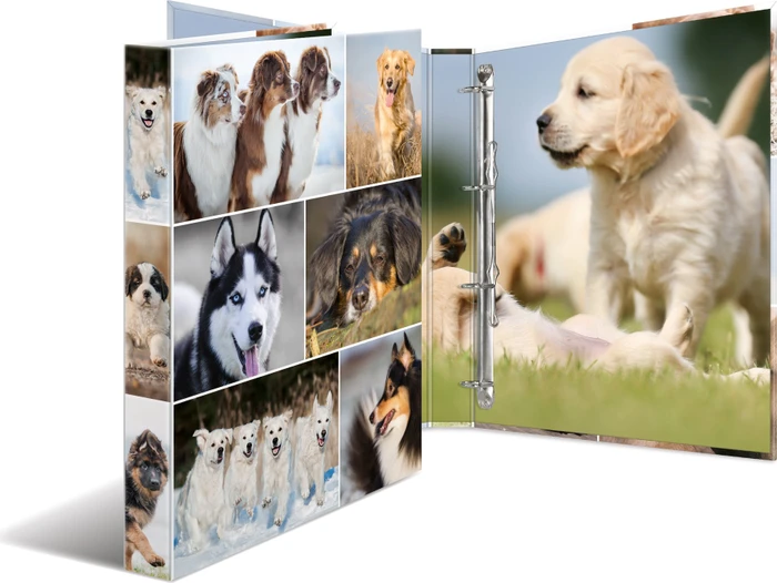 Herma 4D Ringbuch 4-Ring, 30mm, A4, Motiv Hunde