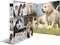 Herma 4D Ringbuch 4-Ring, 30mm, A4, Motiv Hunde Vorschaubild