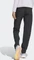 adidas Terrex Liteflex Wander Hose lang schwarz (Damen) Vorschaubild