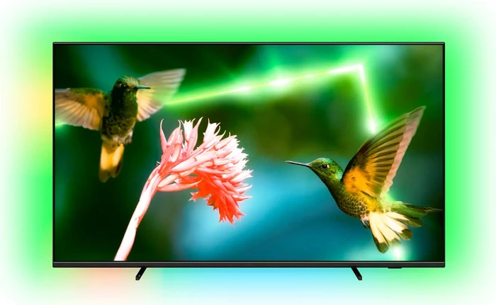Philips 55PML9507