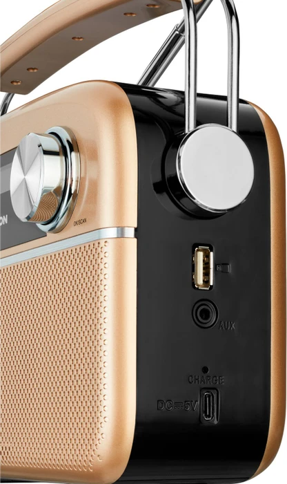 Medion Life E66809 gold