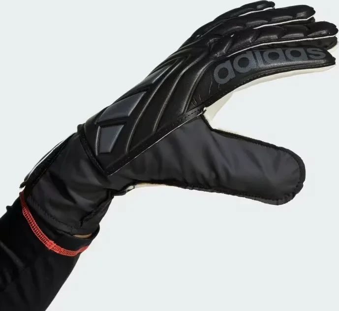 adidas Copa Club Torwarthandschuhe schwarz