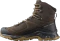 Salomon Quest Element GTX delicioso/black/dull gold (Herren) Vorschaubild