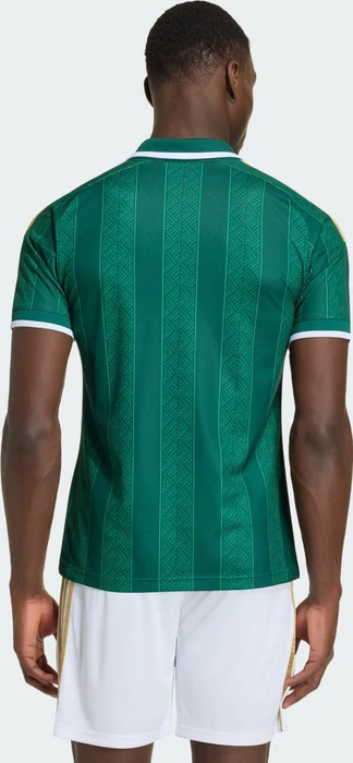 adidas FIFA WM 2026 Südafrika Auswärtstrikot kurzarm team dark green/team green (Herren)