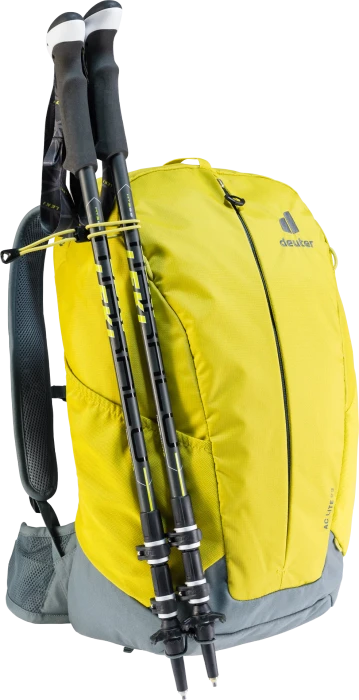 Deuter AC Lite 23 greencurry/teal