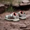 adidas Terrex Agravic BOA wonder beige/olive strata/semi impact orange (Junior) Vorschaubild