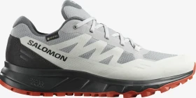 Salomon Outpath GTX alloy/lunar rock/burnt ochre (Herren)