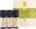 Primavera Bio Aroma Sauna Frische & Energie Geschenkset