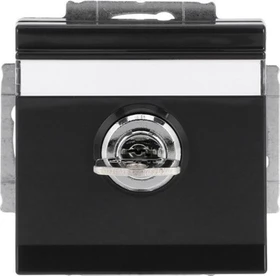 Busch-Jaeger Future Linear Steckdosen-Einsatz mit Klappdeckel und Schloss, anthrazit