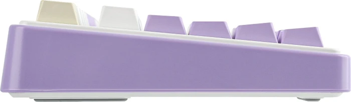 Epomaker x Aula F75, Purple, LEDs RGB, hot-swap, LEOBOG Reaper, USB/Bluetooth, US