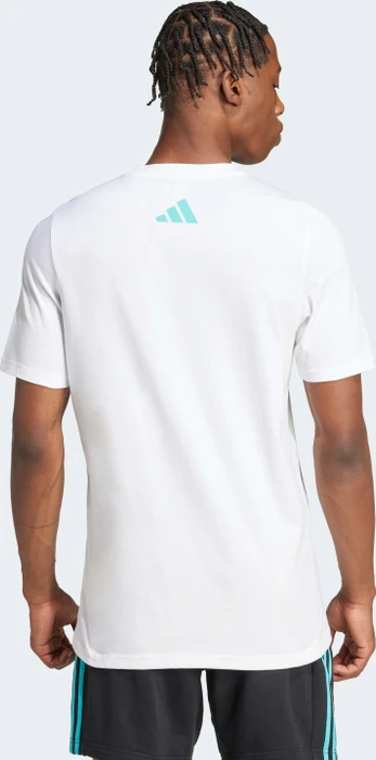 adidas Mercedes AMG Petronas Formula One Team DNA Graphic T-Shirt kurzarm white/semi mint rush (Herren)